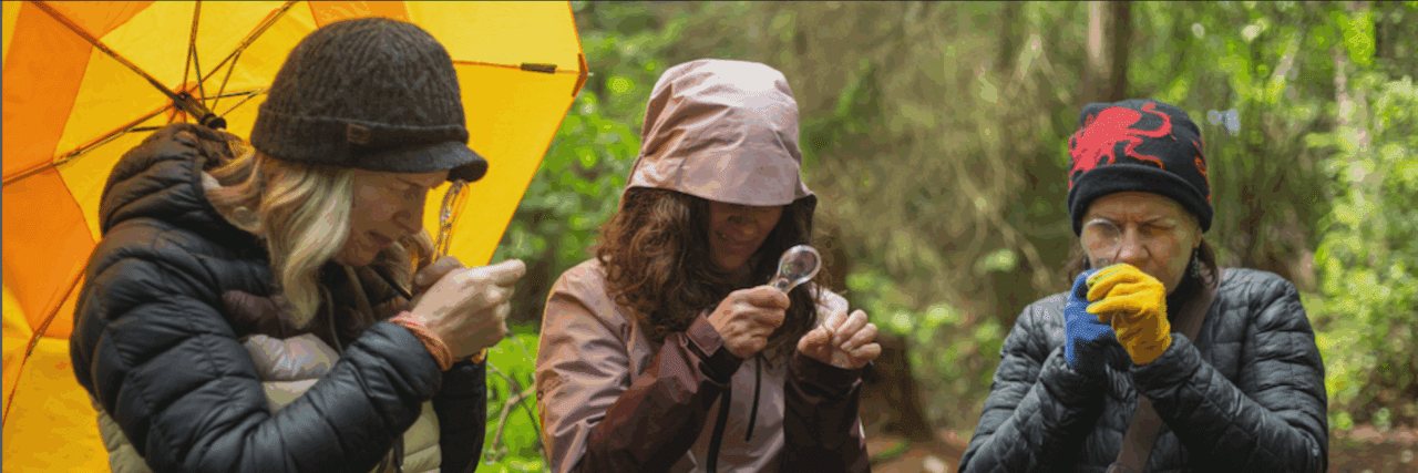 2025 Event Calendar Tacoma Arts Month